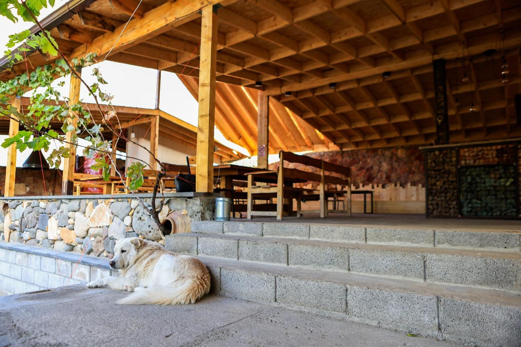 Areni Wine Art Bed & Breakfast ภายนอก รูปภาพ